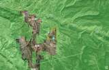 123 Tbd Forest Service Rd 640A (S - Photo 79