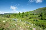 5050 Weber Canyon Rd - Photo 28