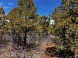 10650 Zion Ridge Dr - Photo 4