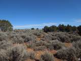 17 Sunrise Country Rd - Photo 18
