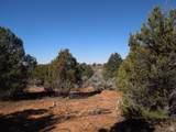 17 Sunrise Country Rd - Photo 9