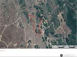3407 Live Oak Rd - Photo 1