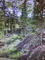 271 Deer Trl - Photo 2