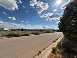 1131 Red Sage Ln - Photo 10