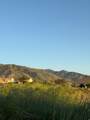 803 160 - Photo 7