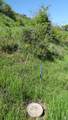 1775 Beaver Bench Rd - Photo 2