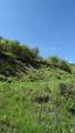 1775 Beaver Bench Rd - Photo 3