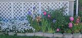 5392 Whistler Cir - Photo 29