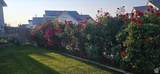 5392 Whistler Cir - Photo 34
