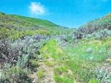 7039 Three Mile Canyon - Photo 12