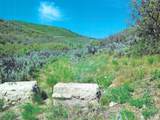 7039 Three Mile Canyon - Photo 13