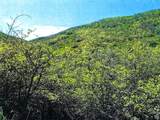 7039 Three Mile Canyon - Photo 10