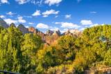 1203 Canyon Springs Rd - Photo 32