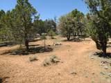 1 Horney Toad Rd Rd - Photo 18