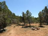 1 Horney Toad Rd Rd - Photo 20