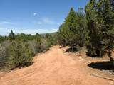 1 Horney Toad Rd Rd - Photo 22