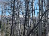 662 Red Fir Way - Photo 1