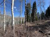 661 Red Fir Way - Photo 17