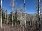 661 Red Fir Way - Photo 24