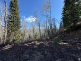661 Red Fir Way - Photo 8