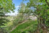 3223 Apache Ln - Photo 48