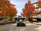 900 Donner Way Way - Photo 1