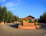 566 Blue Sage Dr - Photo 1