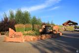 566 Blue Sage Dr - Photo 10