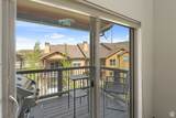 14311 Buck Horn Trl - Photo 8