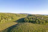 11042 Wild Elk Mdw - Photo 92