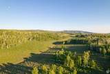 11042 Wild Elk Mdw - Photo 93