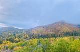 7340 Buckboard Dr - Photo 63