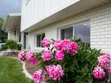 685 Idaho Ave - Photo 5