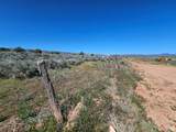 44600 Highway 40 - Photo 56