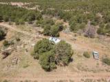 12343 Sand Flats Rd - Photo 56