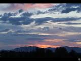 113 4950 - Photo 47