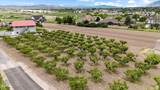 1670 Hwy 89 - Photo 70