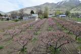 1670 Hwy 89 - Photo 80