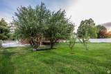 10297 Weeping Willow Dr - Photo 51