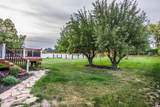 10297 Weeping Willow Dr - Photo 52