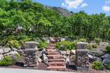76 Bald Mountain Dr - Photo 90
