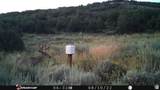 28 Moose Horn Rd, - Photo 24