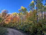 28 Moose Horn Rd, - Photo 33