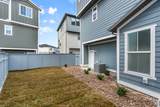 3853 Red Clover Dr - Photo 4
