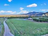 1293 Buck Run Rd - Photo 59