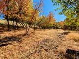 1735 Temple Ct - Photo 9