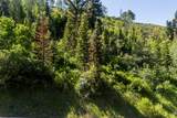 6890 Canyon Drive Ct - Photo 15