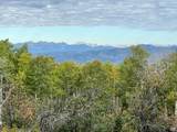  Alta Dr - Photo 9