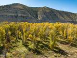 34006 Strawberry River Rd - Photo 4