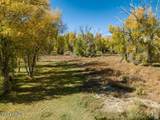 34006 Strawberry River Rd - Photo 6